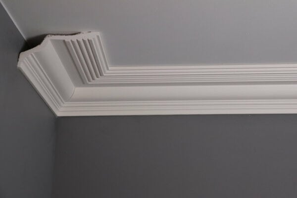 Garrison Edwardian Plaster Coving DM1921