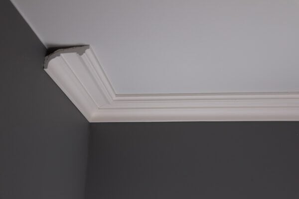 Terrace Victorian Plaster Coving DM1975